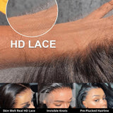 Bye~Bye~KNOTS FULL LACE HD LACE HUMAN HAIR WIG - STRAIGHT