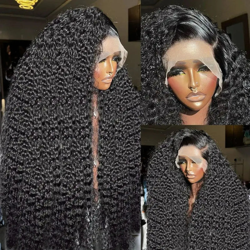 Swiss Lace 250% Pre-plucked 13x6 Hide Lace+ Hide Knots Lace Wig - Curly