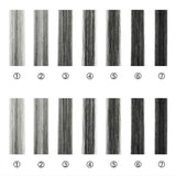 5x5/13x4 Transparent Lace Front Pre-plucked Salt and Pepper Gray Color Wig -  Wavy Ending