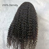 360 HD/Transparent Lace Pre-Plucked Human Hair Wigs with Transparent Drawstring - Burmese Curly
