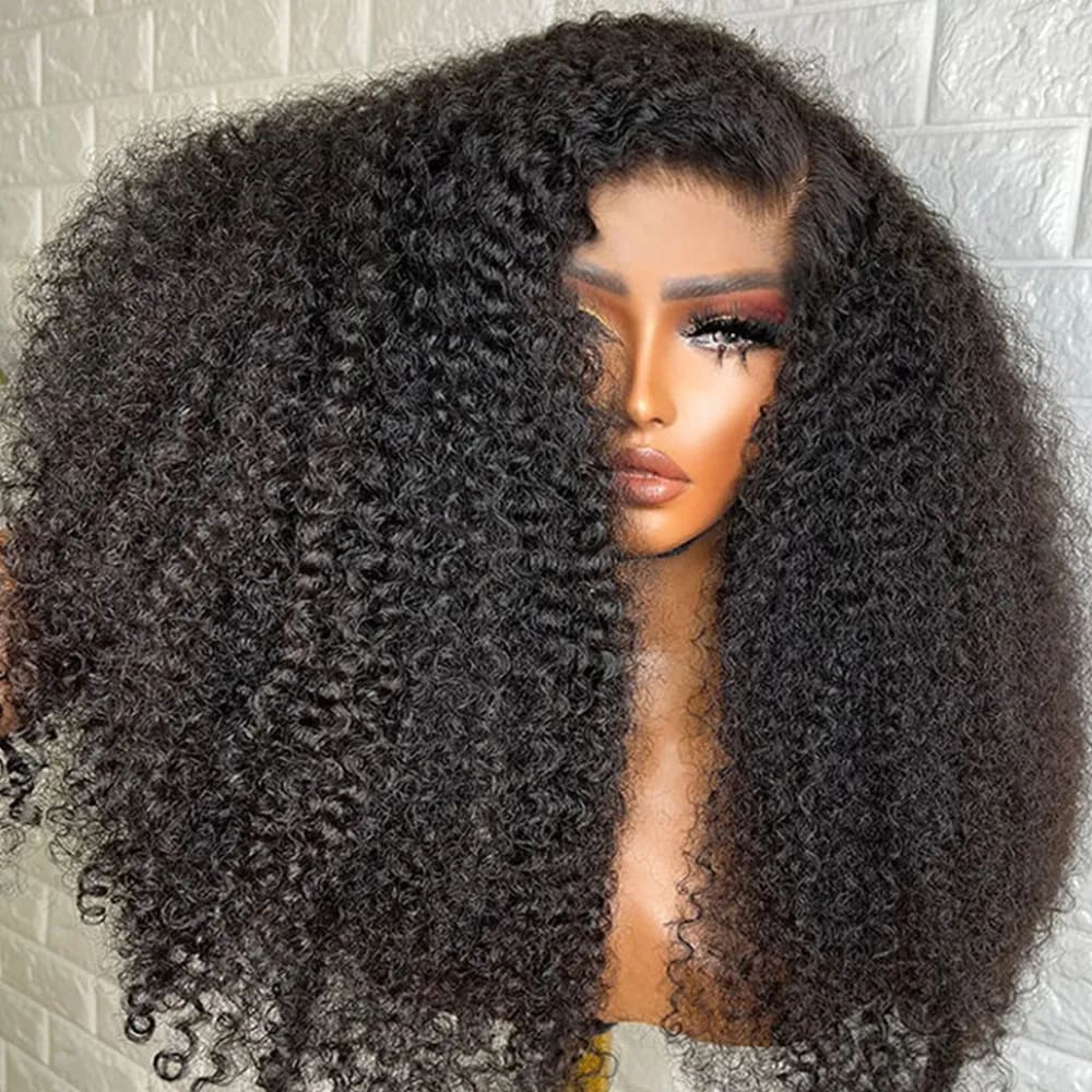 Bianca Preplucked Hairline Kinky Curly Human Hair 360 Lace Front