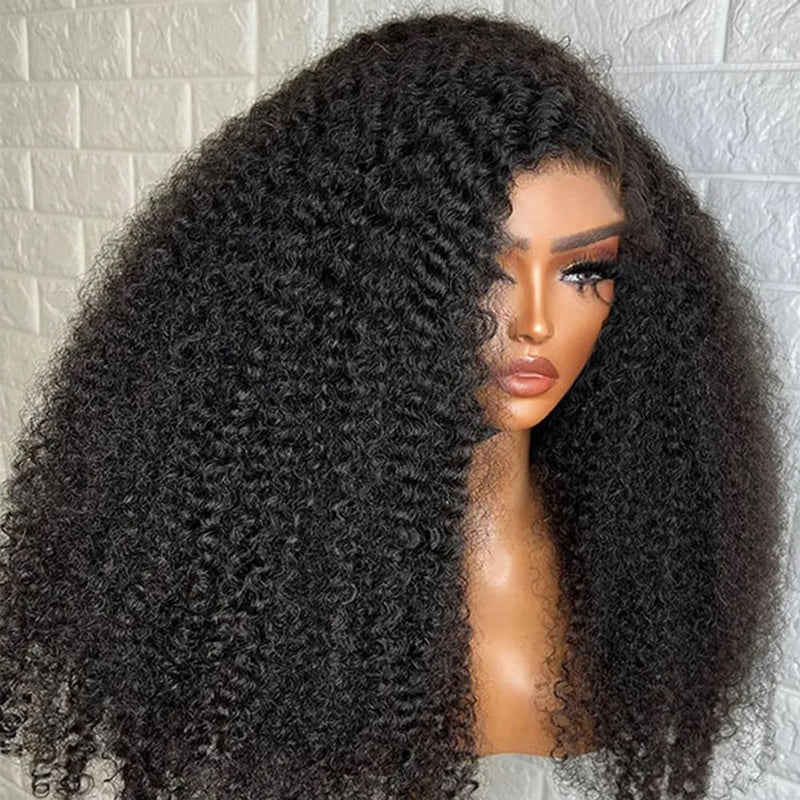 Bianca Preplucked Hairline Kinky Curly Human Hair 360 Lace Front Wig