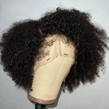 WHOLE LACE NO MESH TRANSPARENT LACE HUMAN HAIR WIG WITH Invisible Strap - Afro Kinky Curly