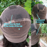WHOLE LACE NO MESH TRANSPARENT LACE HUMAN HAIR WIG WITH Invisible Strap - LOOSE WAVE