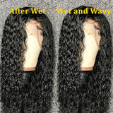 Charlene 13*6 Water Wave Lace Front Human Hair Wigs For Women Pre Plucked Hairline Lace Wigs Brazilian Remy Hair