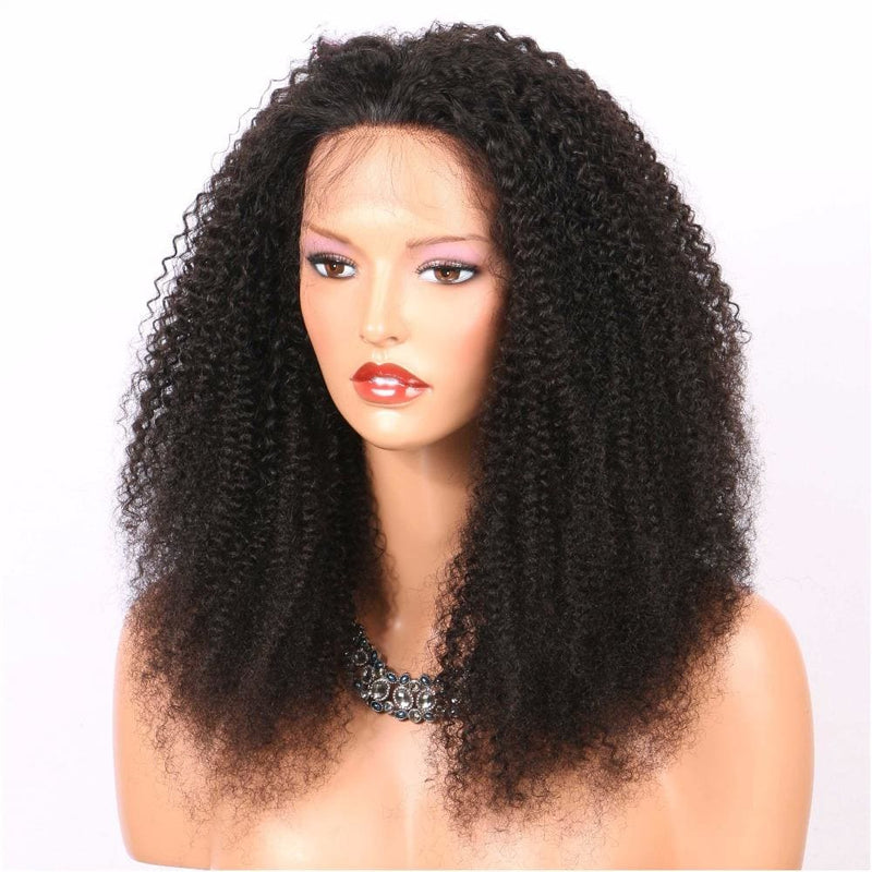 Holly Afro Kinky Curly Full Lace Human Hair Wigs Natural Color Brazilian Human Virgin Hair Free Part Lace Wigs