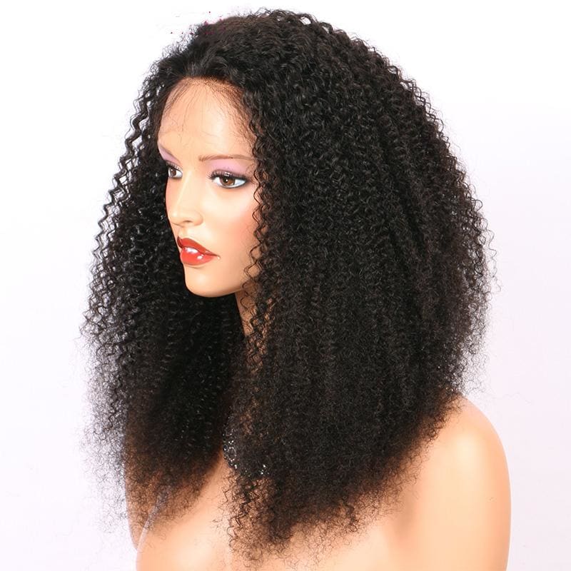 Holly Afro Kinky Curly Full Lace Human Hair Wigs Natural Color Brazilian Human Virgin Hair Free Part Lace Wigs