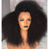 Mylee 13*6 BRUSH OUT AFRO KINKY CURLY Lace Front Wigs Pre Plucked Hairline Brazilian Hair